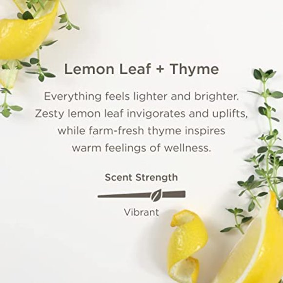 Enviroscent Non-Toxic Room & Home Air Freshener Refills for Plug-in Plug Hub New - Picture 4 of 6